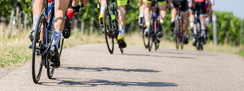 what to do if dog chases you on bike